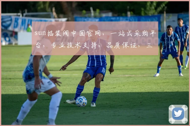 sun插装阀中国官网，一站式采购平台，专业技术支持，品质保证，三重保障服务